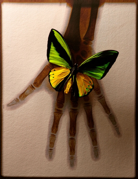 Photograph Benjamin Kende Butterfly Hand on One Eyeland
